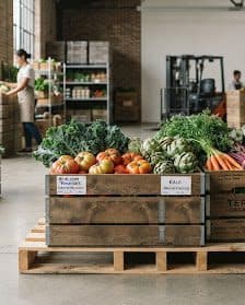 Wholesale produce warehouse: a staff member restocks shelving while crates of tomatoes, kale, artichokes and carrots wait on a pallet for despatch
